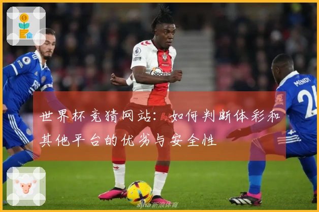 世界杯竞猜网站：如何判断体彩和其他平台的优劣与安全性