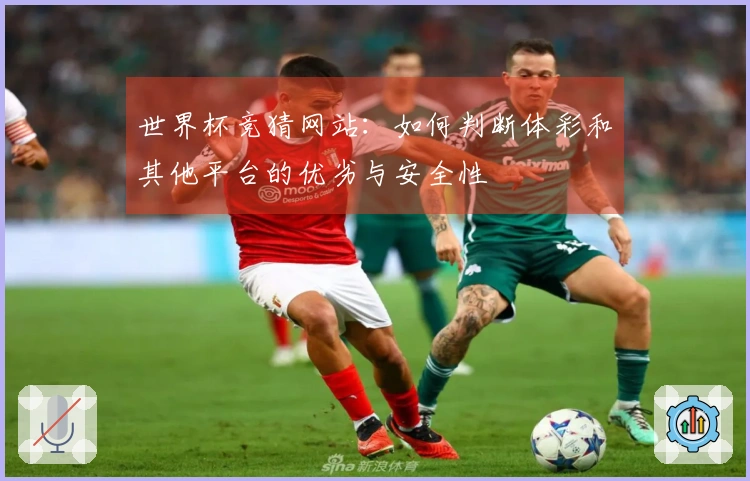 世界杯竞猜网站：如何判断体彩和其他平台的优劣与安全性