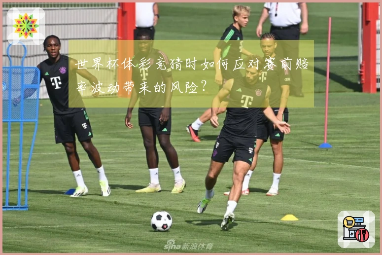 世界杯体彩竞猜时如何应对赛前赔率波动带来的风险?