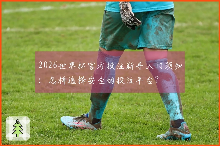 2026世界杯官方投注新手入门须知：怎样选择安全的投注平台？